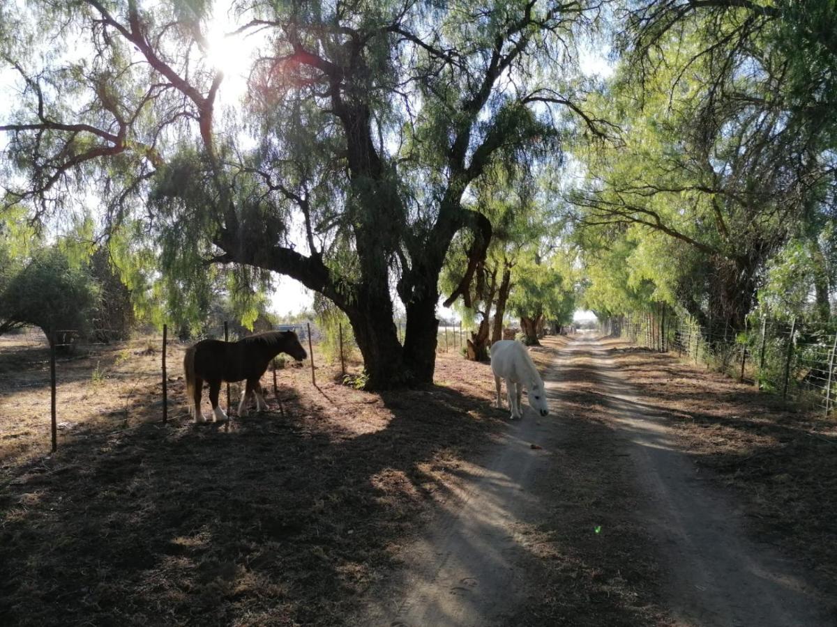 Hotel Doornfontein Guest Farm Cradock Zewnętrze zdjęcie